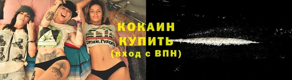 индика Белоозёрский