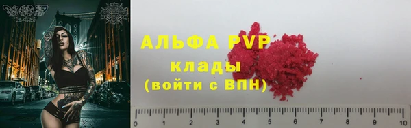 индика Белоозёрский