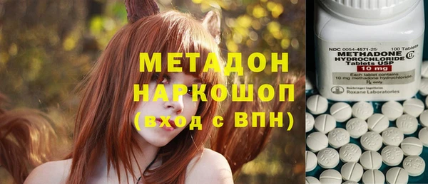индика Белоозёрский