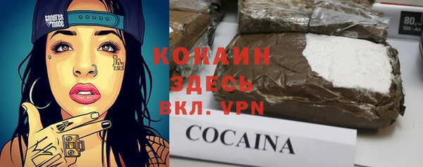индика Белоозёрский