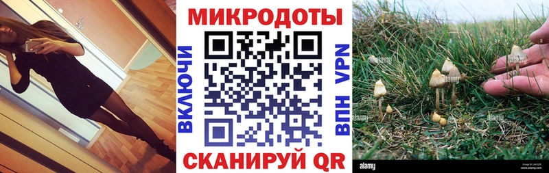 Галлюциногенные грибы MAGIC MUSHROOMS  где купить наркотик  Горячий Ключ 