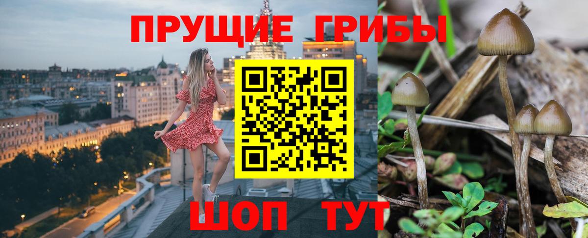 Галлюциногенные грибы Psilocybine cubensis  Псилоцибиновые грибы Psilocybine cubensis  хочу   Вход с VPN  Горячий Ключ 